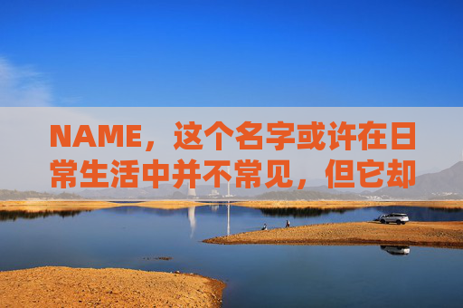 NAME，这个名字或许在日常生活中并不常见，但它却在某些领域里扮演着重要的角色。今天，让我们一起来探索这个名字背后的故事和意义